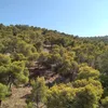 hananelsayed61