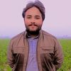 rashidjutt198