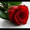 mohammdmohammd44