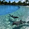 fatma_muhammed10