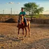 gustavo.vaqueiro01