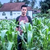 agro_sinaran