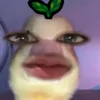 user11156789
