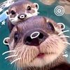 angelica.ram_