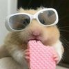 _enny51