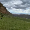 zhyarfaraedwn