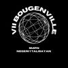 vii.bougenville