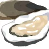 haraita_7