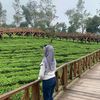 ekayulianiiiiiiiiii