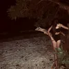 ivy_lacno