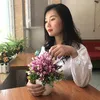 yenkoi97