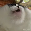 Artyrka