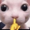 ashweykitty