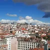 alejapatito74