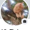 lilythai07