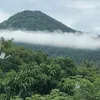 nguoila127