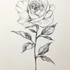 artist2147