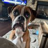 boops112761777931014