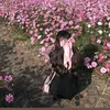pii4.1
