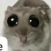 xifkwkekf