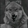 3isa.shivarmni