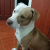 deibyquiceno17