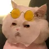 pablooaguilar