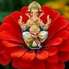 ganeshshrestha88