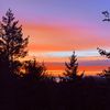 the_pnw_viking