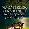 milenachalpartar6