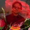 shaheenchohan143