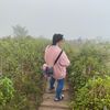 sarochi.nam
