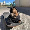 lizznyanzi