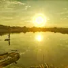 remotedunia