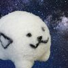.spacedoggo
