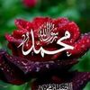 alimuhammedmuhammadbota