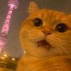sarahhhhhhhhhhh_0