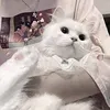 yunguku_1997