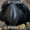 mister_s_dota