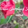 tap5at_msria_ma4rbia
