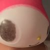 mochi_mon20