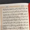 rashayassien24