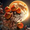 user403626606noha