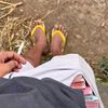 daa____2566