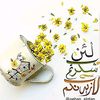 cookingwithumhiba1919