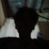 seccflyd