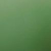 tiktoknyc8913
