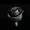 userr191030