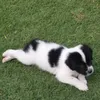 jack04041100