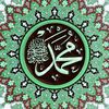 dy8gxrfexg1t